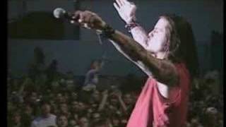 DOWN - Temptations wings