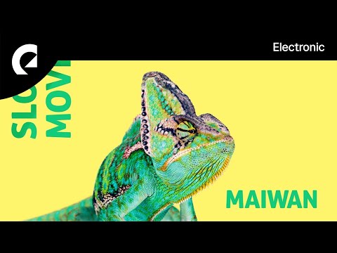 Maiwan - Hate for You to Go