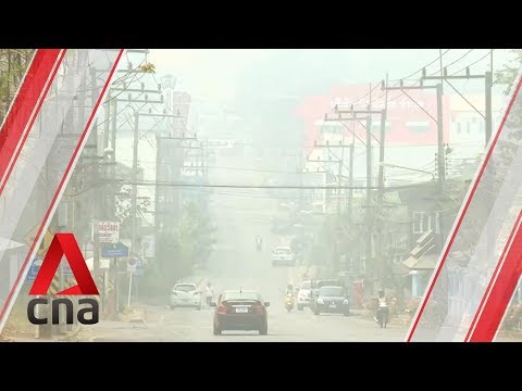 Change to organic farm for air pollution in Thai