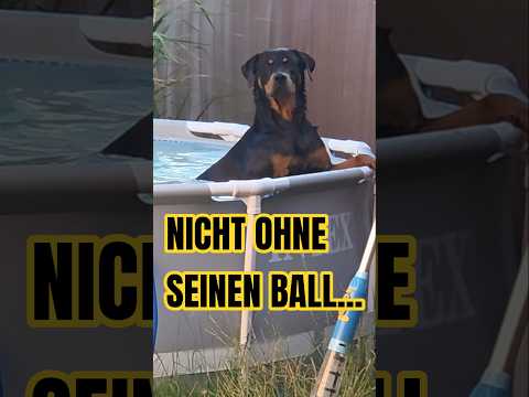 😅🏊 Nicht ohne seinen Ball!