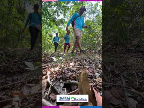 TRILHA ECOLÓGICA ITAPORÃ DO TOCANTINS 17 10 2026