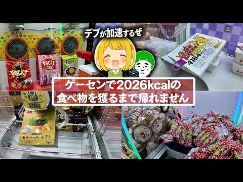 【ゲーセン】クレーンゲームで2026kcalの食べ物を獲るまで帰れません【とりっぴぃ/愛の戦士】