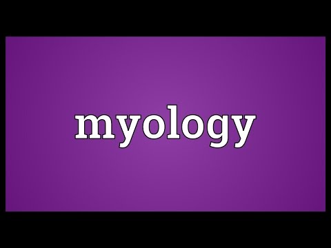 Myology Meaning