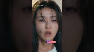 The White Olive Tree #chenzheyuan #liangjie #cdrama #trendingshorts #bestscene #shorts