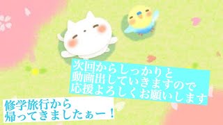 修学旅行から、帰ってきたぞぉぉお！！   ※音声の声小さいです