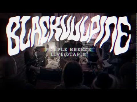 BLACK VULPINE Live@TAPIR