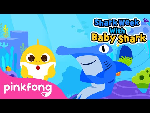 サメの家族に会いに行こう｜サメの赤ちゃんと一緒にサメ週間｜ピンクフォーンの童謡 (Meet the Shark Family | Shark Week with Baby Shark | Pinkfong Songs for Children)