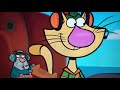 Nature Cat Welcome To The Volcano