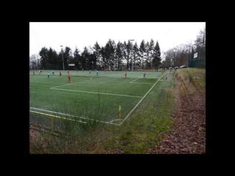 Sportschule Edenkoben Kunstrasen / Rheinland-Pfalz / Deutschland
