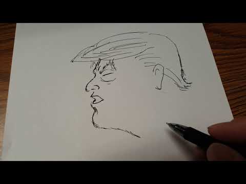 How to draw Donald Trump, in profile