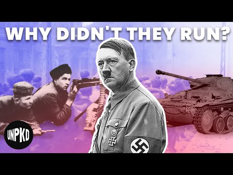 Did Jews Fight Back Against the Nazis?