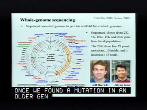 Experimental Evolution: 50,000 Generations in the Life of E. coli