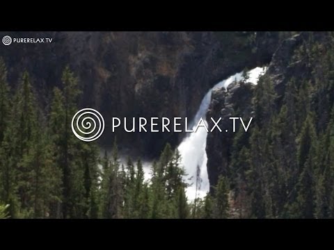 Erdenklang - Kirile Loo 'Lullabies for Husbands' Album