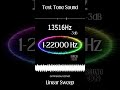 Short Hearing Test Sound 1 22000 Hz Linear Sweep Frequency Sound Hz Hearingtest Lifehacks