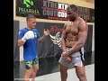 francis ngannou eating Body shots from a flyweight