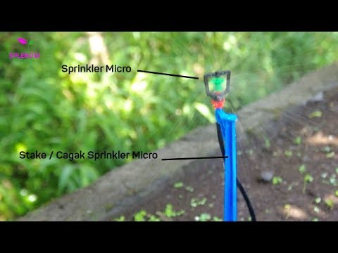 Micro sprinkler system