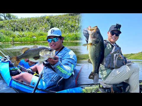 Kayak Fishing for Topwater Largemouth Bass (Boundary Dam, Saskatchewan)