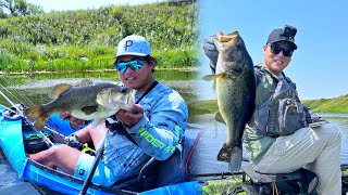 Kayak Fishing for Topwater Largemouth Bass (Boundary Dam, Saskatchewan)