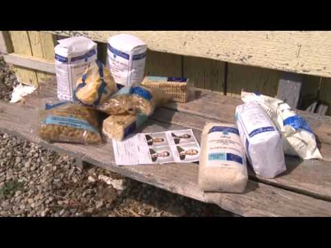 ORBENI SCRIPAT   18 04 2012