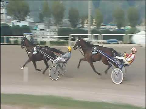 Trotto 29/10/2019 - 4ª corsa