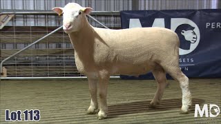 Download lagu Lot 113 mp3