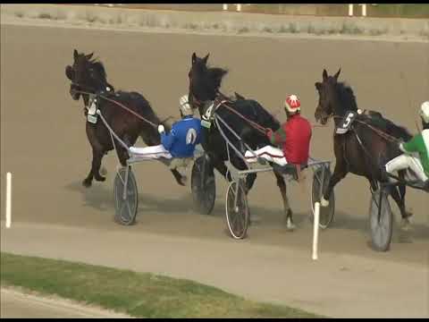 Napoli Trotto 08/12/2022 - 1ª corsa