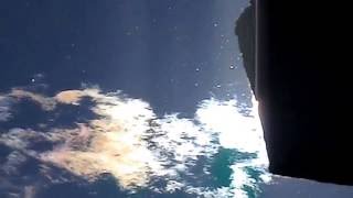 The Living Plasma Haze     8/2016