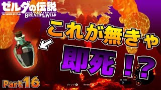 【BotW】自由！！ゼルダの伝説ブレスオブザワイルドPart16【実況】