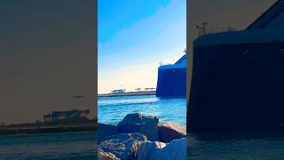 Celebrity Ascent 🛳️ #share #comment #subscribe #youtubeshorts #shortvideo #shortsvideo #shorts #fun