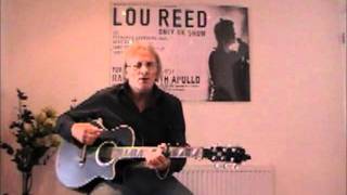 Warren Zevon, Hula Hula Boys, cover by MartynW77