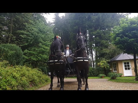 download lagu mp3 mp4 Hochzeitsfahrten, download lagu Hochzeitsfahrten gratis, unduh video klip Hochzeitsfahrten