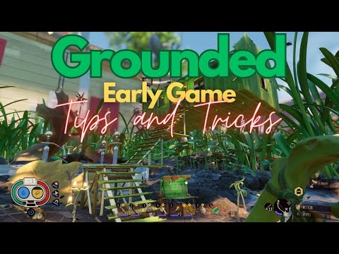 Grounded | Early Game Tips and Tricks
