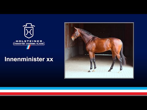 Holsteiner Verbandshengste 2021 | Innenminister xx v. Masterstroke xx - Lando xx