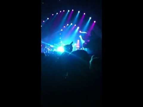 Brit Floyd - Pigs (3 different ones)