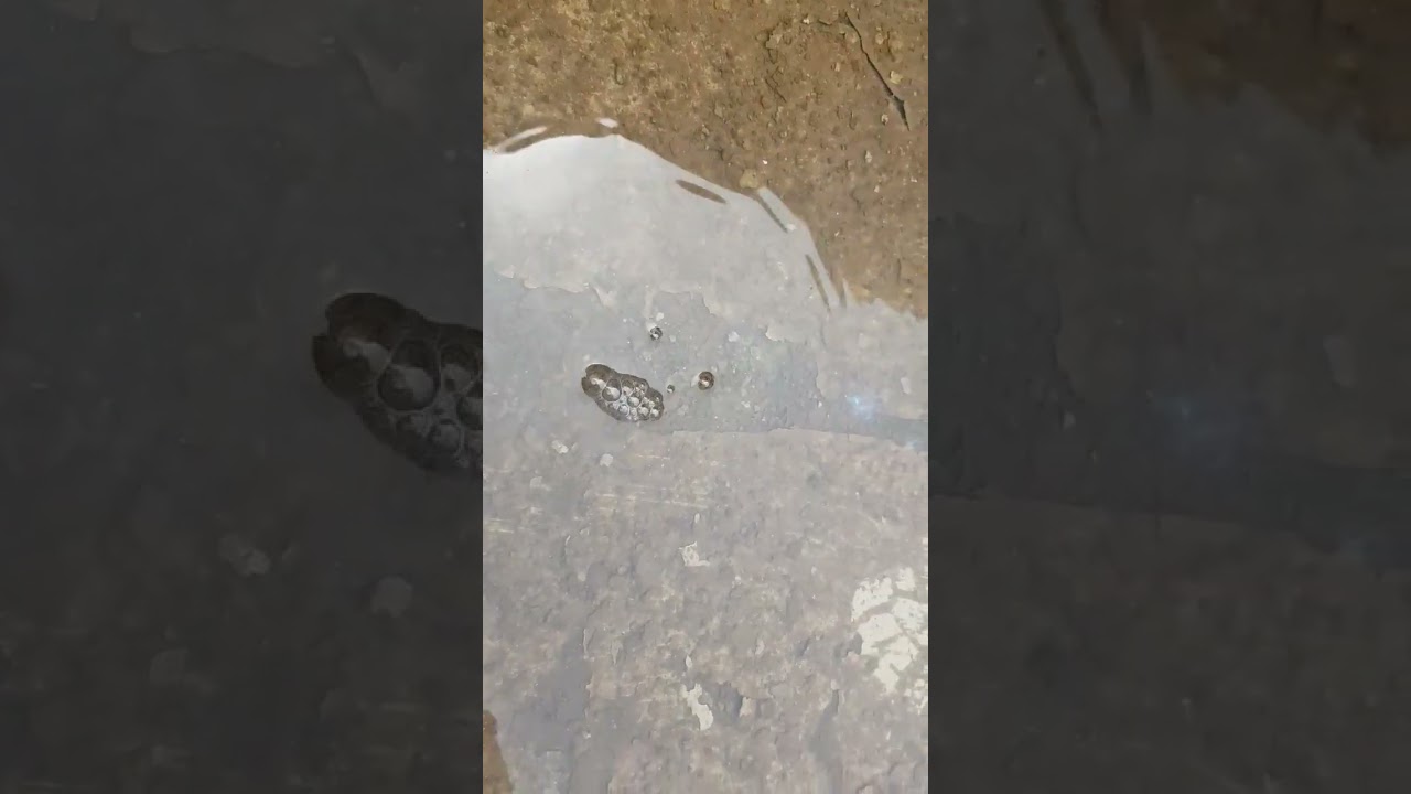 수중에서도 시공되는 다마가특수시공 영…