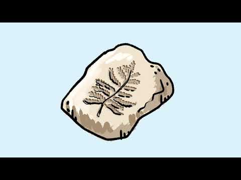 C'est quoi un fossile ?