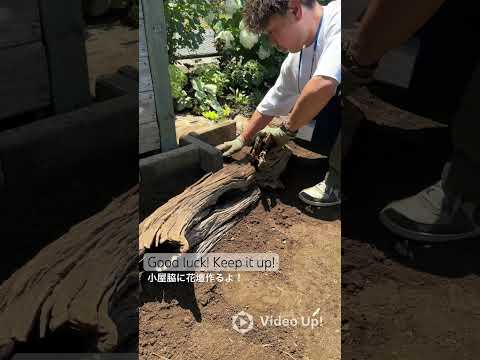 園芸 植栽の許可