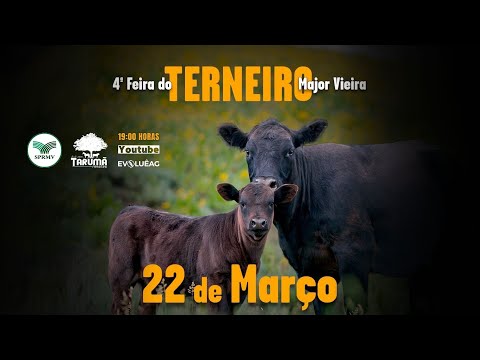4ª Feira do Terneiro de Major Vieira, SC 22/03/2024 | Tarumã Remates