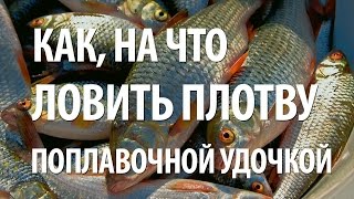 Ловля плотвы весной на поплавочную удочку секреты