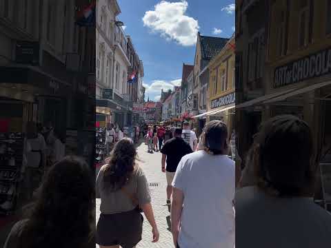 Venlo street Netherlands 🇳🇱#3 #snow #construction #train #nature #animal #travel #winter #sunset