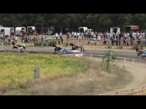 Trka "VIII memorijal Bognar st. Nandor” 25.08.2109 Hector de Sajan - Branko Skenderović