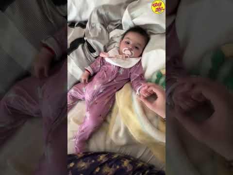 José Eduardo Derbez Aleja a sus Perritos de su Hija