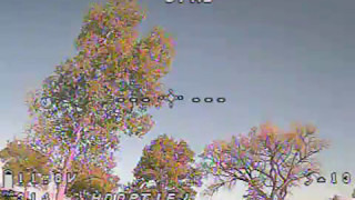 Foxflite Scorpion 180 FPV maiden