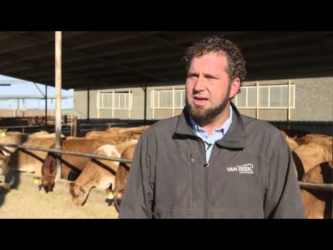 Caring for Idaho's Cows: a dairy farmer's story