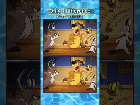 Znajdź różnicę #znajdźróżnicę #szorty