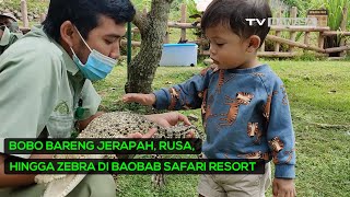 Bobo Bareng Jerapah, Rusa, hingga Zebra di Baobab Safari Resort Pasuruan