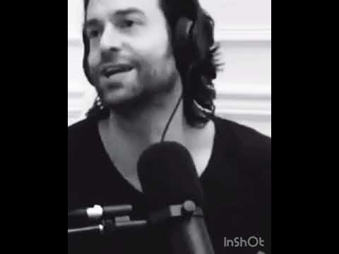 Chris D’Elia Mashup System of a Down