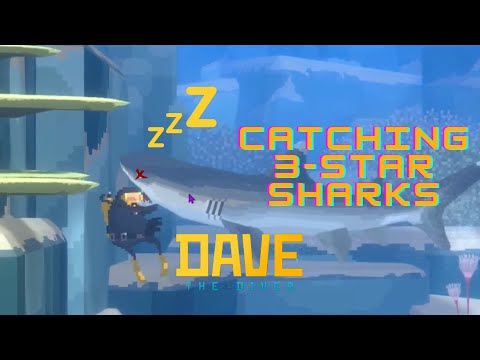 Dave The Diver Tips Guide | Dave the Diver 3 Star Shark and Large Fish
