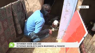 VETERİNER HEKİMLİKTE HASTA MUAYENESİ VE TEDAVİSİ | VETERİNER HEKİM GÜN