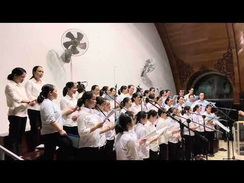 Trái Tim Khát Mong. St .M. Tigon